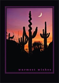 Desert Wishes