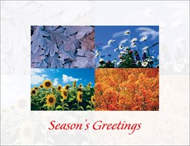 Four Season's Greetings