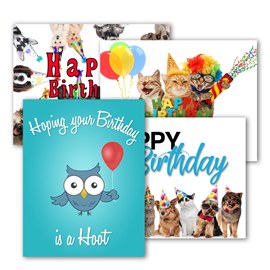 Animal Fun Birthday Assortment Set
