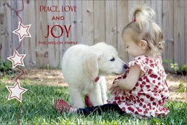 Joyful Stars Photo Card