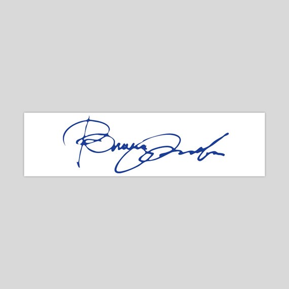  Your Signature Custom Signature Stamp - Customizable Signature  Stamp - Personalized Self-Inking Signature Stamps. Black Blue Red Green or  Purple Ink : Office Products