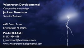 Single Lightning Bolt