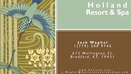 Hummingbird and Dragonfly