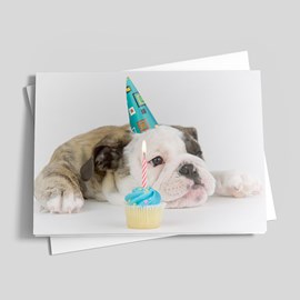 Party Animal Birthday Card