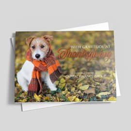 Autumn Dog Thanksgiving Card