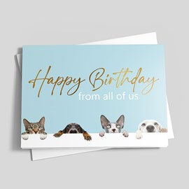 Cats & Dogs Birthday Card