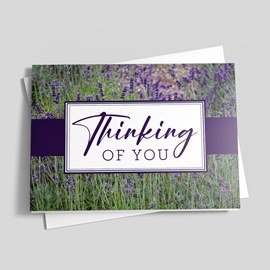 Lavender Fields - Thinking of You Card