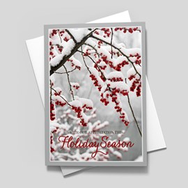 Berry Frost Holiday Card