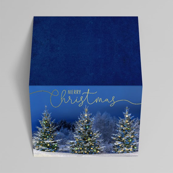 gift box with Christmas trees and gold text