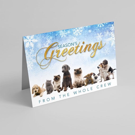 Folded holiday greeting card with row of cats and dogs, blue snowflake background and gold "Season's Greetings" script, text "From the whole crew"