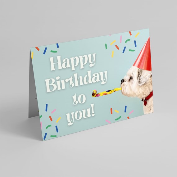 birthday card with dog illustration and confetti