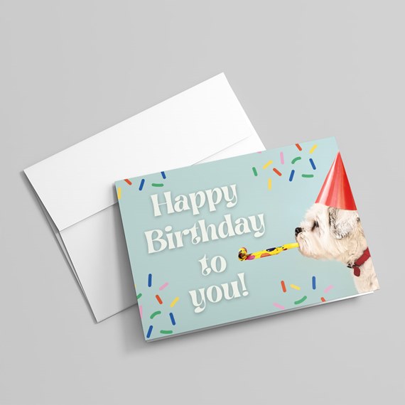 birthday card with dog and colorful sprinkles