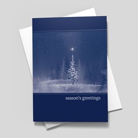 Snowy Night Scene
