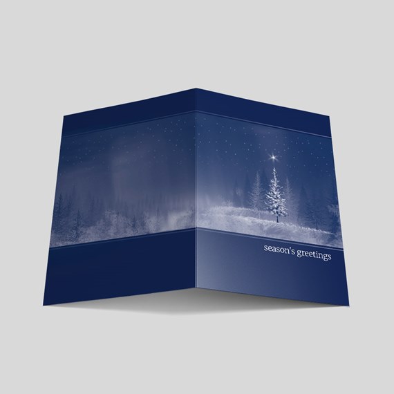 winter greeting card with photo area