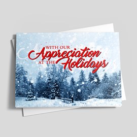 A Cherished Afternoon